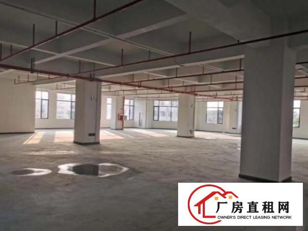  南栅原房东标准厂房二楼1300平方出租可办环评