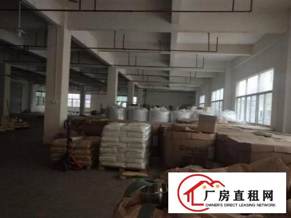  北栅原房东一楼整层1280平方出租