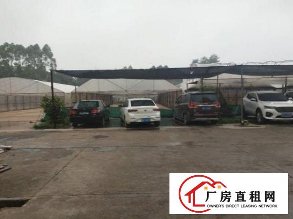  北栅原房东一楼整层1280平方出租
