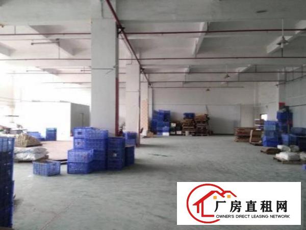  金洲楼上500平方厂房带喷油环评出租