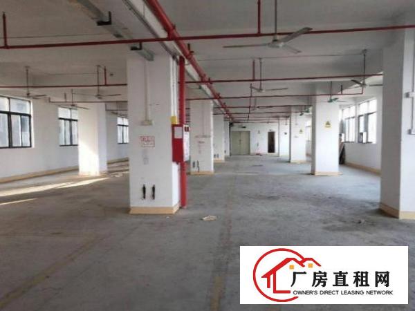 南栅楼上整层面积950方，现成水电线路办公室装修