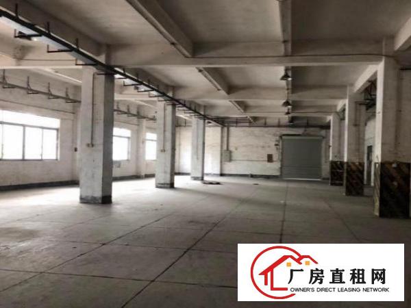  树田新出！原房东厂房一楼1650平米出租现成装修