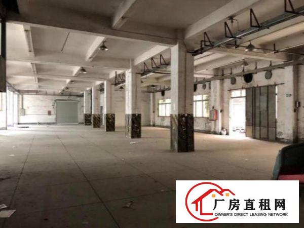  树田新出！原房东厂房一楼1650平米出租现成装修