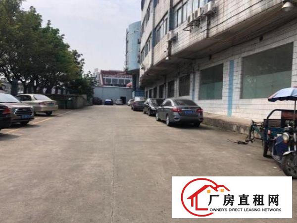  树田新出！原房东厂房一楼1650平米出租现成装修