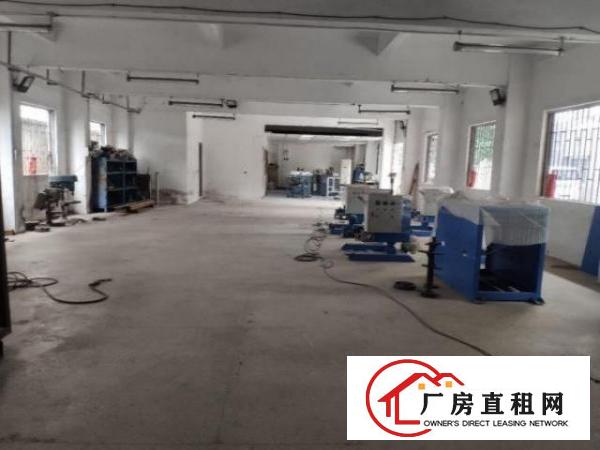  南栅可办环评！新出一楼550平带精装修办公室厂房招租