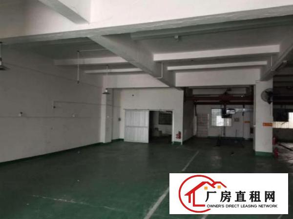  博美一楼650平厂房出租精装修地坪漆水电齐全