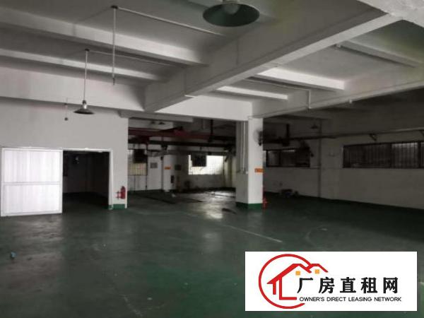  博美一楼650平厂房出租精装修地坪漆水电齐全
