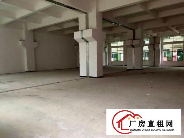  南栅原房东厂房一楼1150平方带牛角高度6米