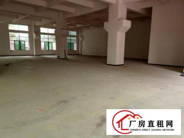  南栅原房东厂房一楼1150平方带牛角高度6米