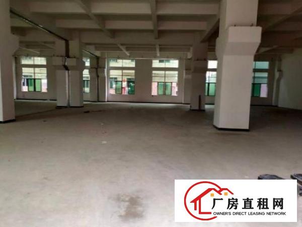  南栅原房东厂房一楼1150平方带牛角高度6米
