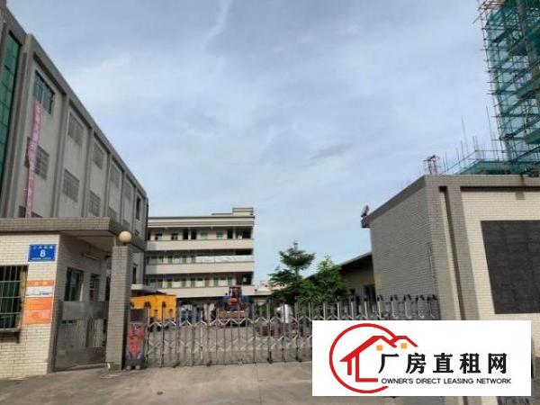  龙眼新出原房东厂房3楼1200平方带现成装修无公摊