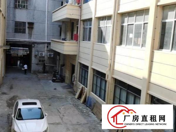  虎门/黄河/虎门四中/淘宝/电梯/2楼/新装/厂房/仓库/