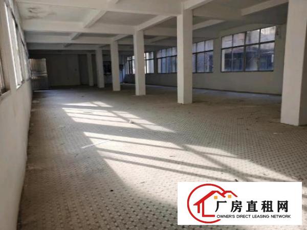  虎门龙泉商业广场仓库厂房电梯2楼黄河淘宝