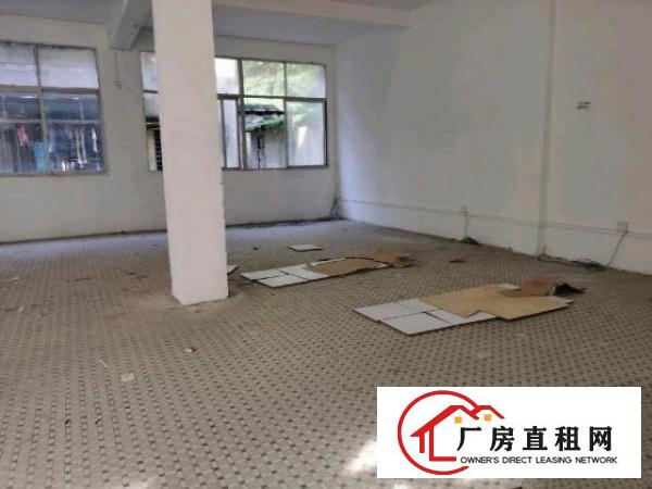  虎门龙泉商业广场仓库厂房电梯2楼黄河淘宝