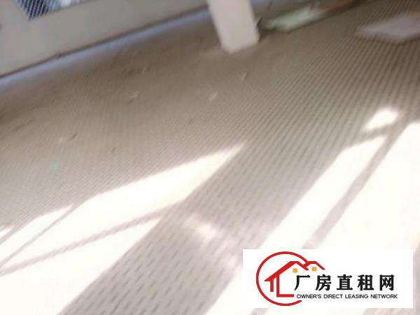  虎门龙泉商业广场仓库厂房电梯2楼黄河淘宝
