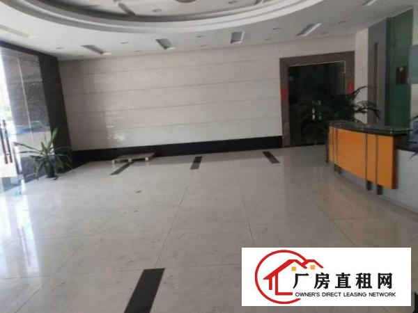  南栅厂房招租豪华装修水电齐全可办环评