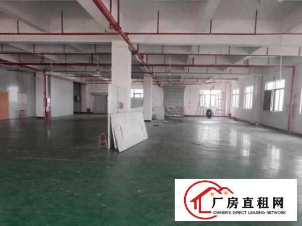  博涌标准厂房三楼1350平方招租有地坪漆,带装修
