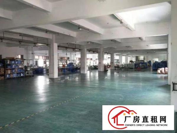  博涌标准厂房三楼1350平方招租有地坪漆,带装修
