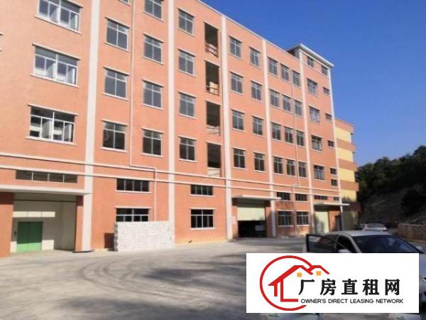 虎门标准厂房一楼1250平方米出租