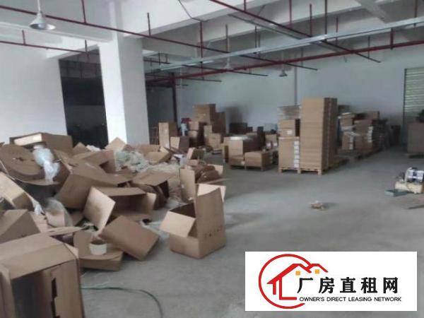  原房东，一楼800平厂房招租，无公摊！