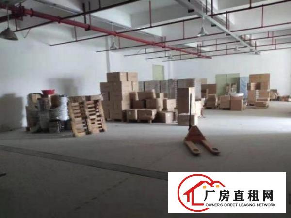  原房东，一楼800平厂房招租，无公摊！