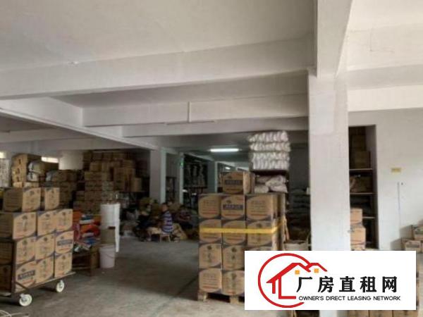  虎门寨标准一楼厂房600平方分租，价格实惠