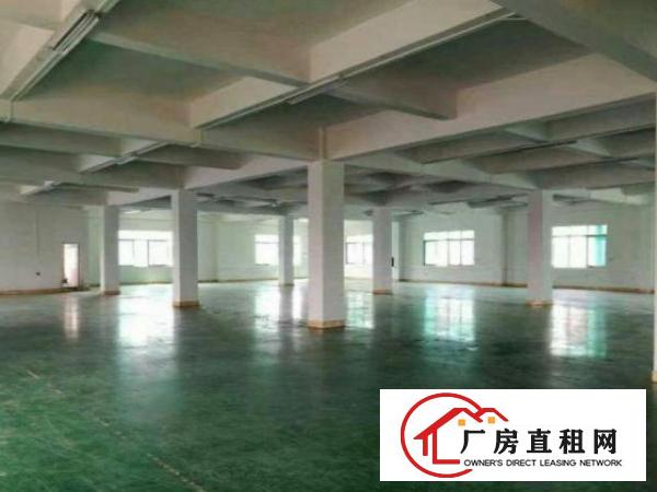  出租800平方一层水电齐全车间端正