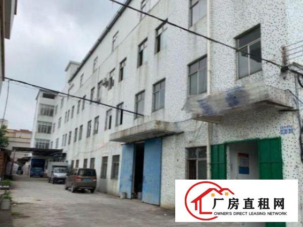  虎门寨标准一楼厂房600平方分租，价格实惠