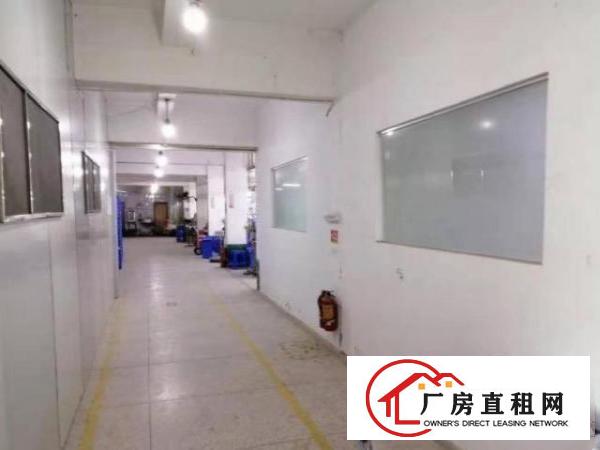  南栅新出原房东标准独院厂房2500平方