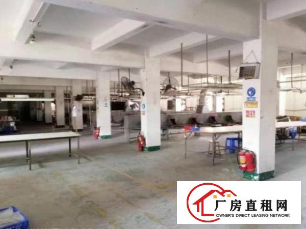  南栅新出原房东标准独院厂房2500平方