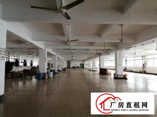  标准厂房1f240平租252/3f2480/层租16