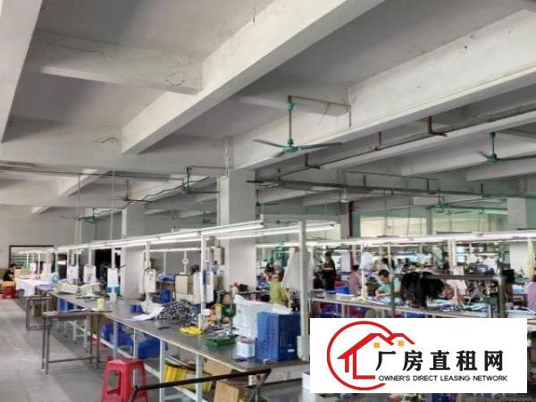  虎门高铁地铁站旁厂房（含停车场/宿舍/饭堂）