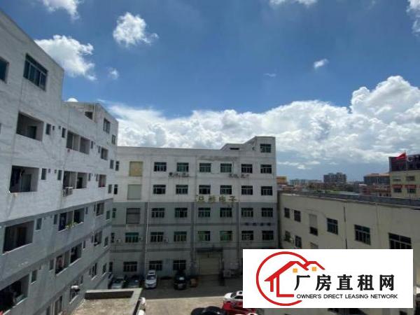  虎门高铁地铁站旁厂房（含停车场/宿舍/饭堂）