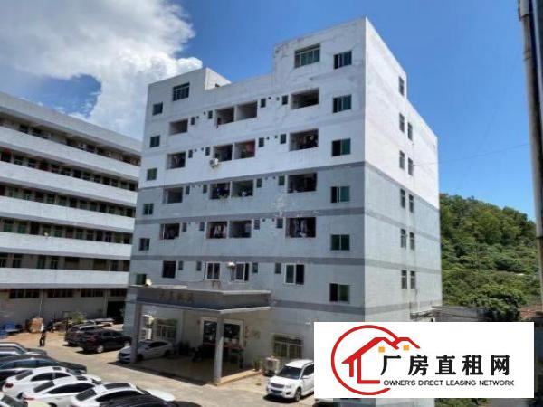 虎门高铁地铁站旁厂房（含停车场/宿舍/饭堂）