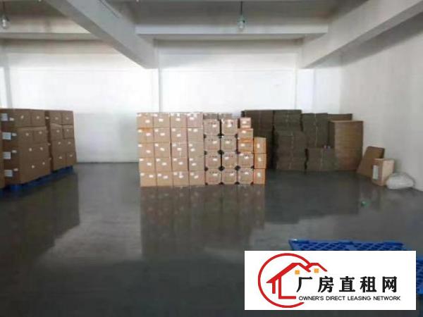  虎门公园附近1500平方厂房出租，价格便宜，独立办公区可分隔