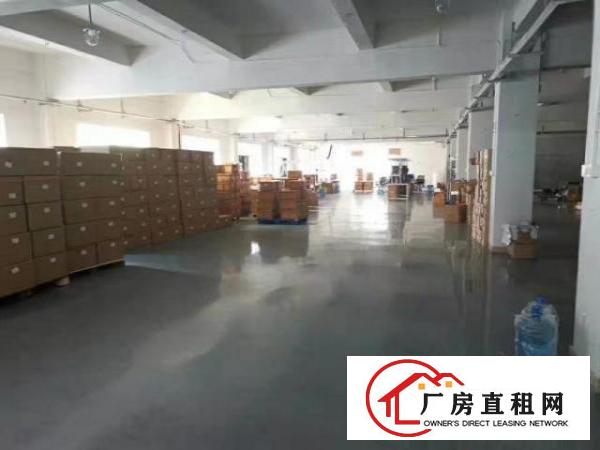  虎门公园附近1500平方厂房出租，价格便宜，独立办公区可分隔