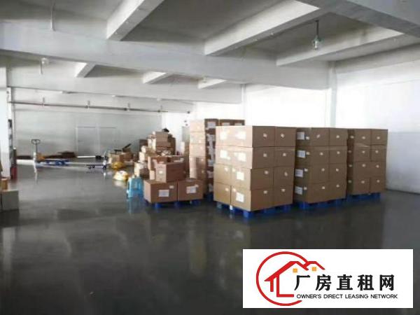  虎门公园附近1500平方厂房出租，价格便宜，独立办公区可分隔