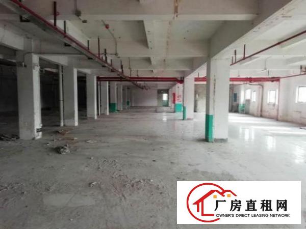  原房东商业综合楼位于工业区车流大人群密集配套完善适合商业项目