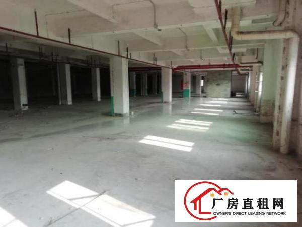  原房东商业综合楼位于工业区车流大人群密集配套完善适合商业项目