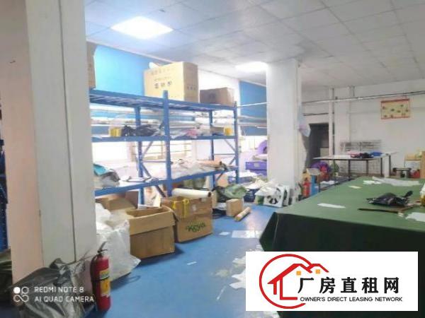  北栅现在服装电商装修厂房