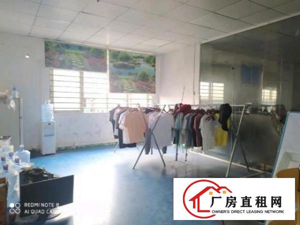  北栅现在服装电商装修厂房