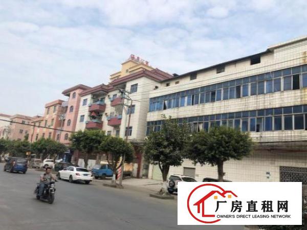  大路边厂房出租，可做铺面，前面16米路