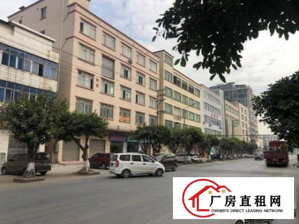  大路边厂房出租，可做铺面，前面16米路