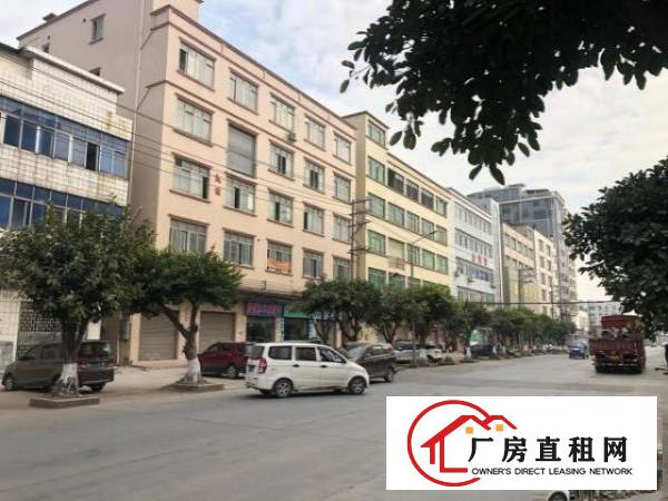  大路边厂房出租，可做铺面，前面16米路