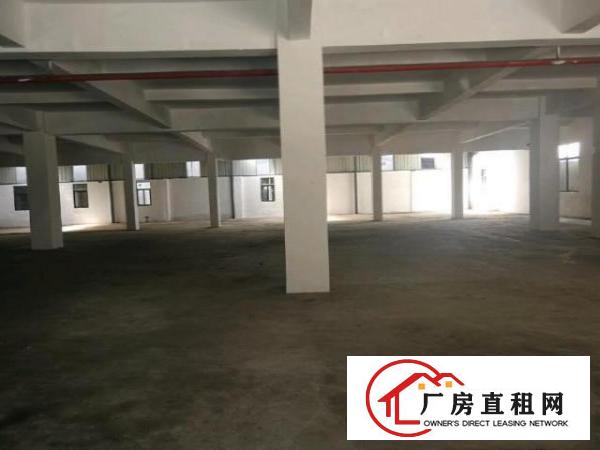  龙眼二路53号一楼厂房1200平方，可分租！