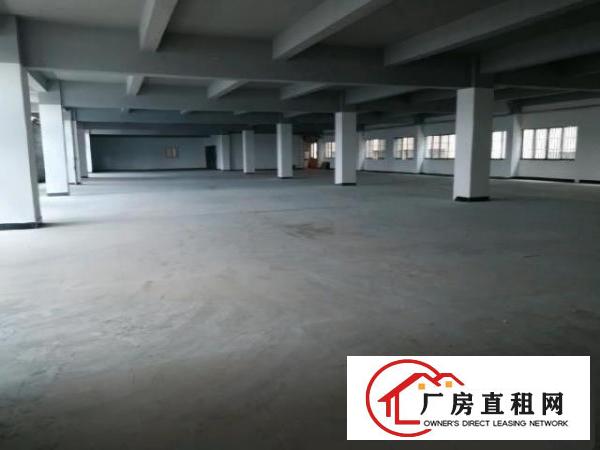  龙眼358省道二楼1500平方出租