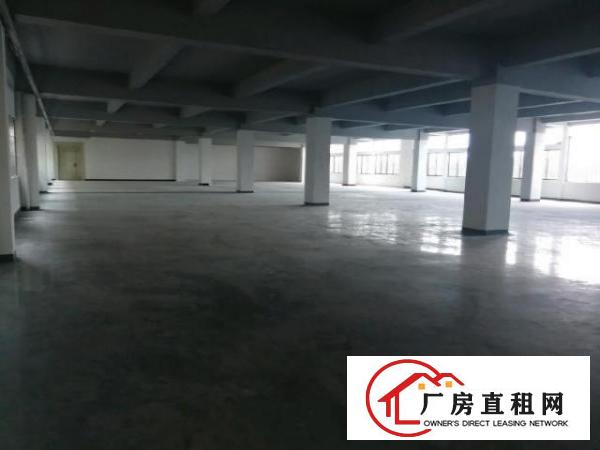  龙眼358省道二楼1500平方出租