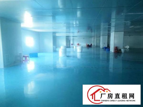  东莞虎门新出十万级无尘车间，现成豪华办公室