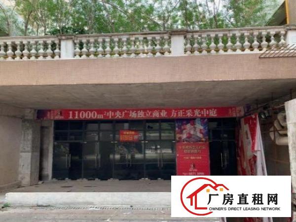  虎门一号开发商物业11000平米室内独栋商业商场招租