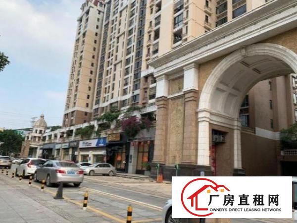  虎门一号开发商物业11000平米室内独栋商业商场招租